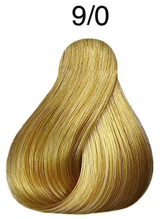 Fő kép